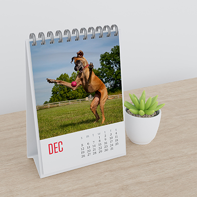 A6 Tent Calendar